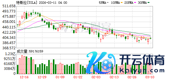 K图 TSLA_0