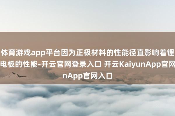 体育游戏app平台因为正极材料的性能径直影响着锂离子电板的性能-开云官网登录入口 开云KaiyunApp官网入口