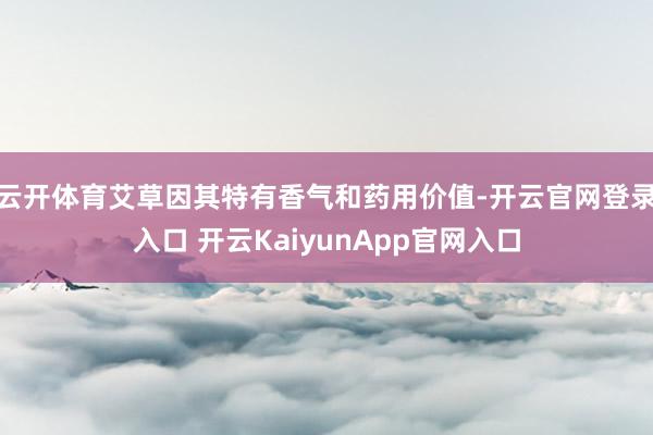 云开体育艾草因其特有香气和药用价值-开云官网登录入口 开云KaiyunApp官网入口