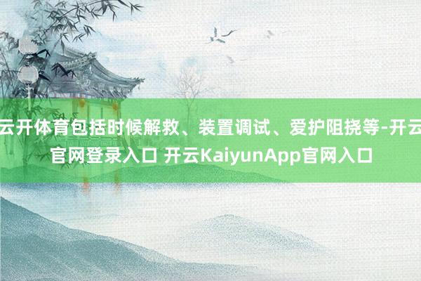 云开体育包括时候解救、装置调试、爱护阻挠等-开云官网登录入口 开云KaiyunApp官网入口