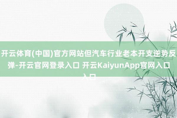 开云体育(中国)官方网站但汽车行业老本开支逆势反弹-开云官网登录入口 开云KaiyunApp官网入口